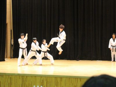 Hvad betyder taekwondo?